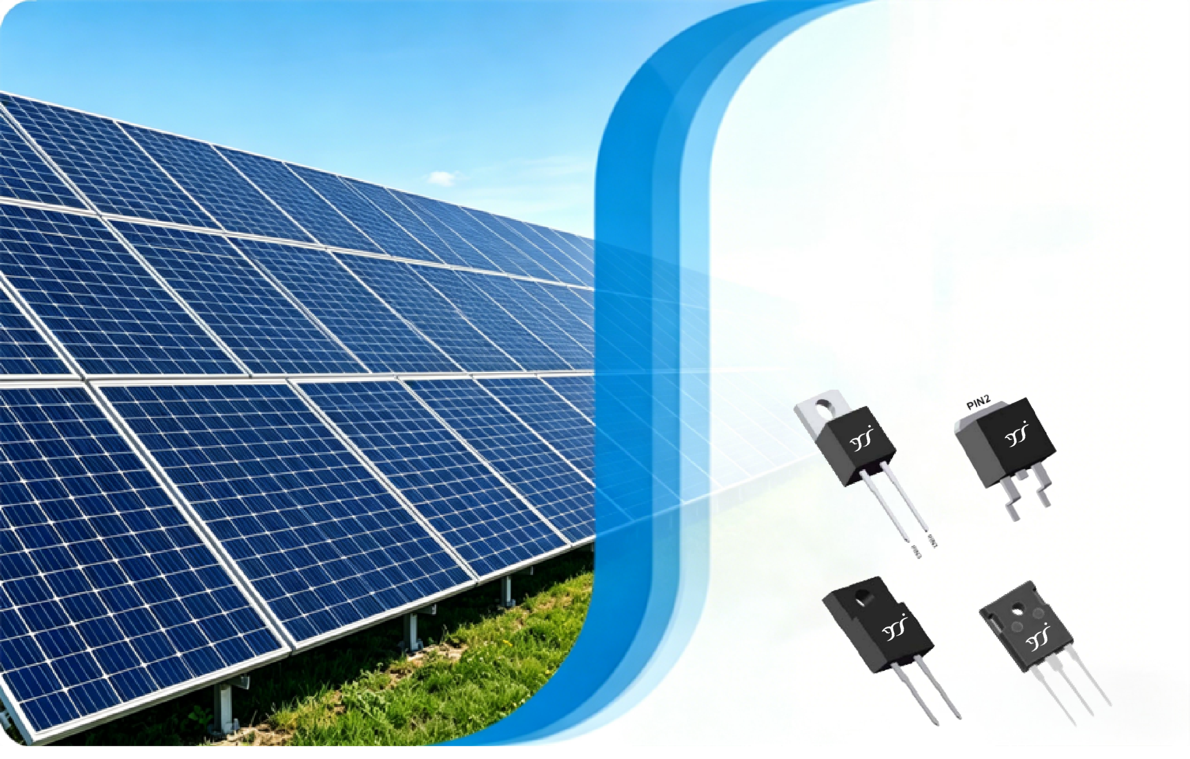 SiC Schottky Diode